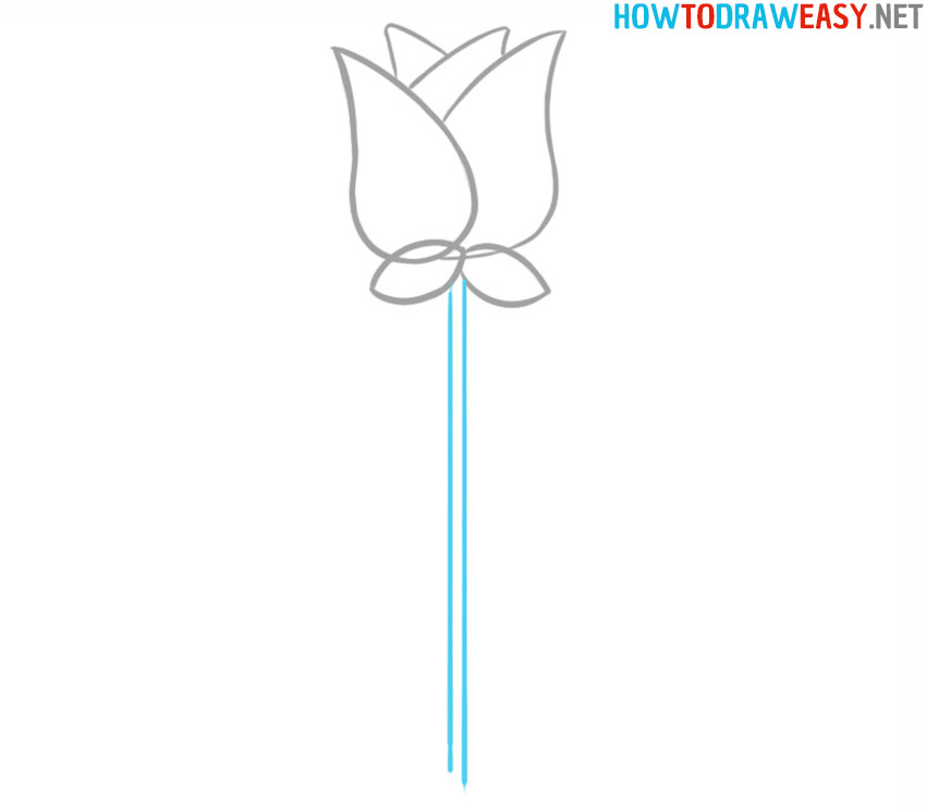 How to draw a rose easy step by step