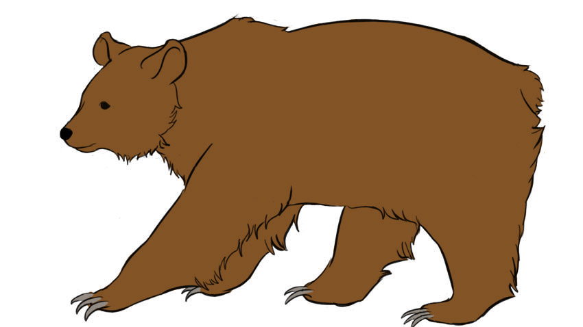 Coloring a Bear drawing