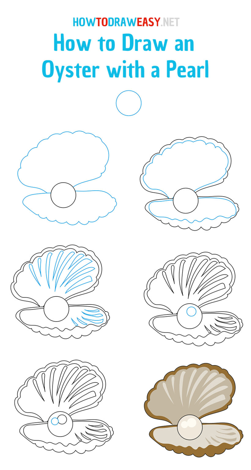 How to Draw an Oyster with a Pearl How to Draw Easy