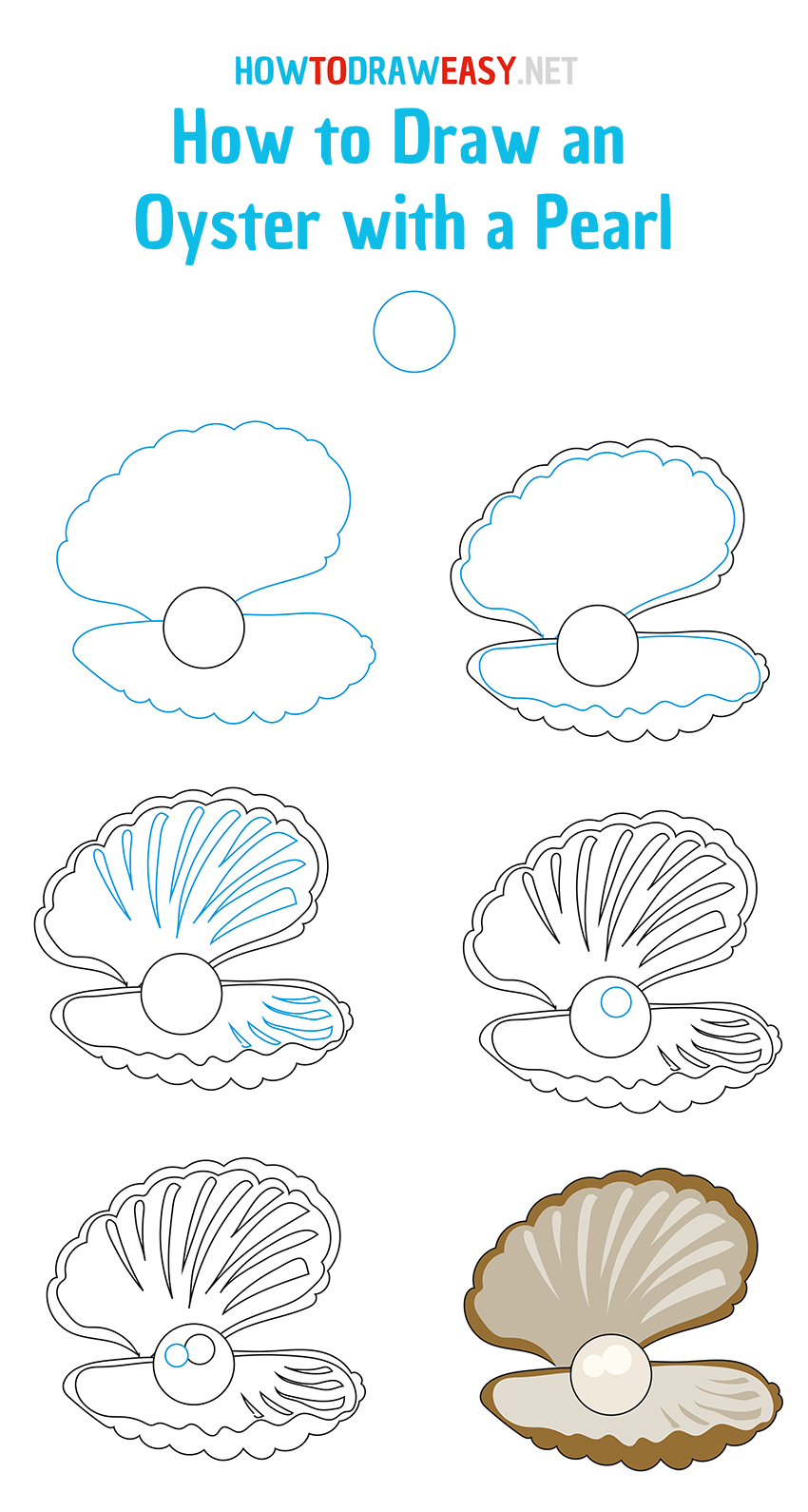 Easy step by step Oyster with a Pearl drawing tutorial
