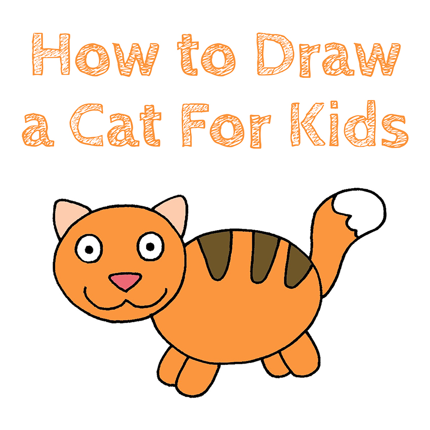 How to Draw a Cat for Kids How to Draw Easy