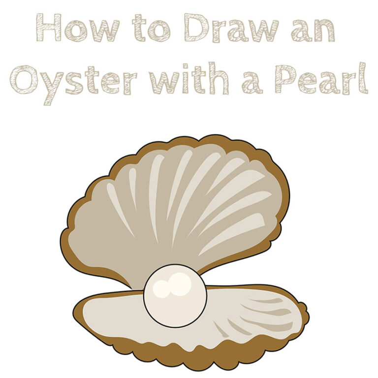 How to Draw an Oyster with a Pearl How to Draw Easy