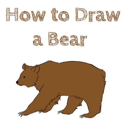 How to draw a bear easy