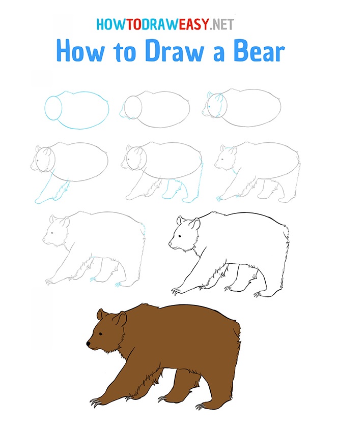How to draw a bear tutorial