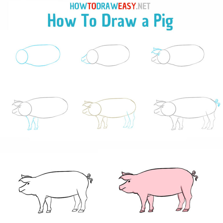 How to Draw a Pig How to Draw Easy