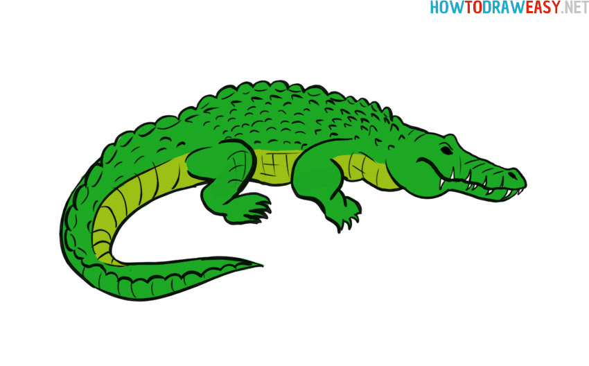 crocodile drawing colour