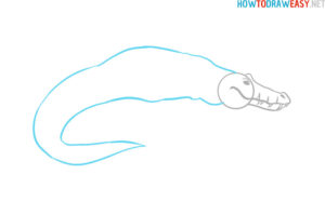 How to Draw a Crocodile - How to Draw Easy