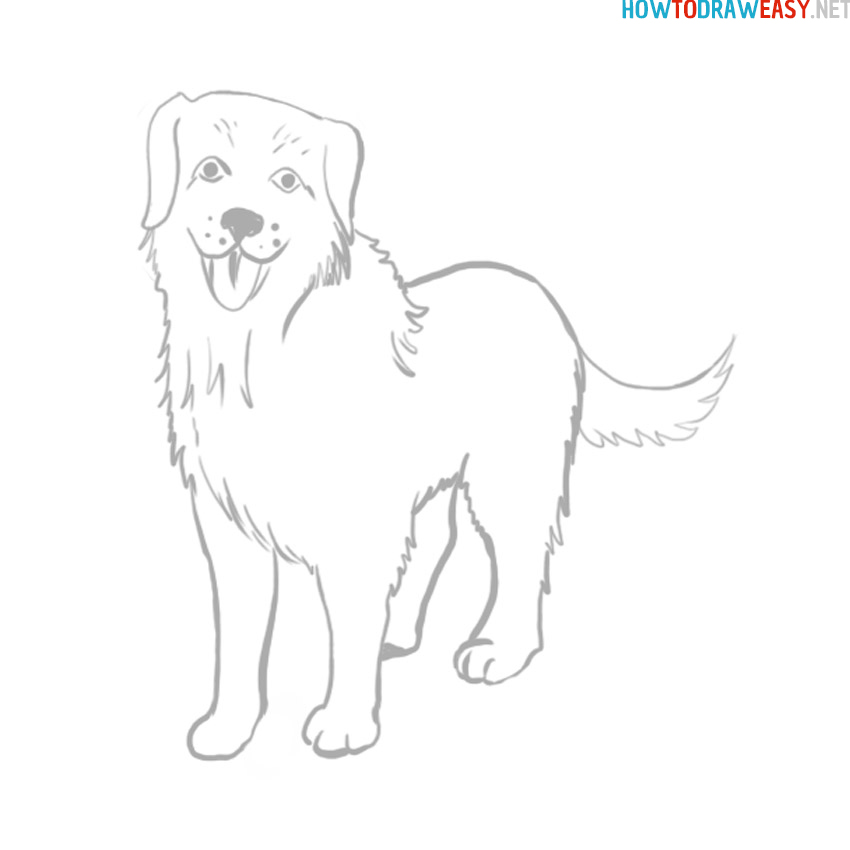 dog drawing step by step