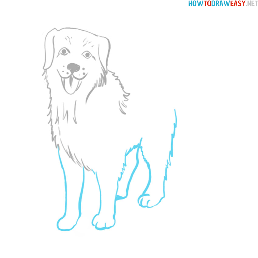easy dog drawing tutorial