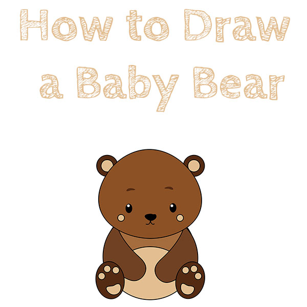 How to Draw a Baby Bear