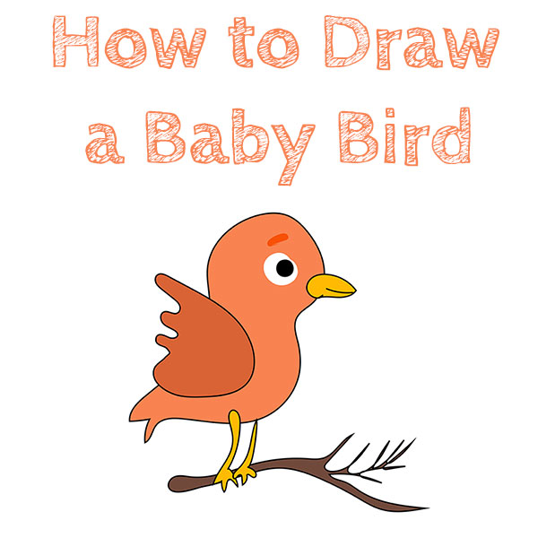 How to Draw a Baby Bird