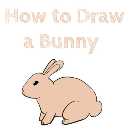 how-to-draw-a-bunny-rabbit