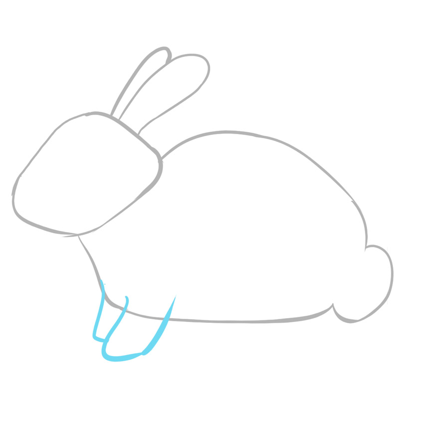 how to draw a bunny realictic