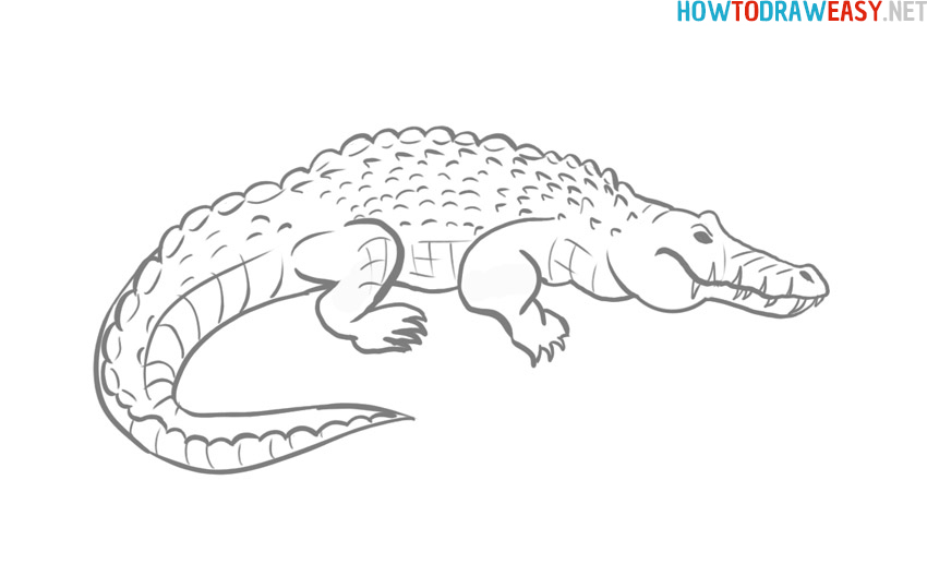 how to draw a crocodile for beginners