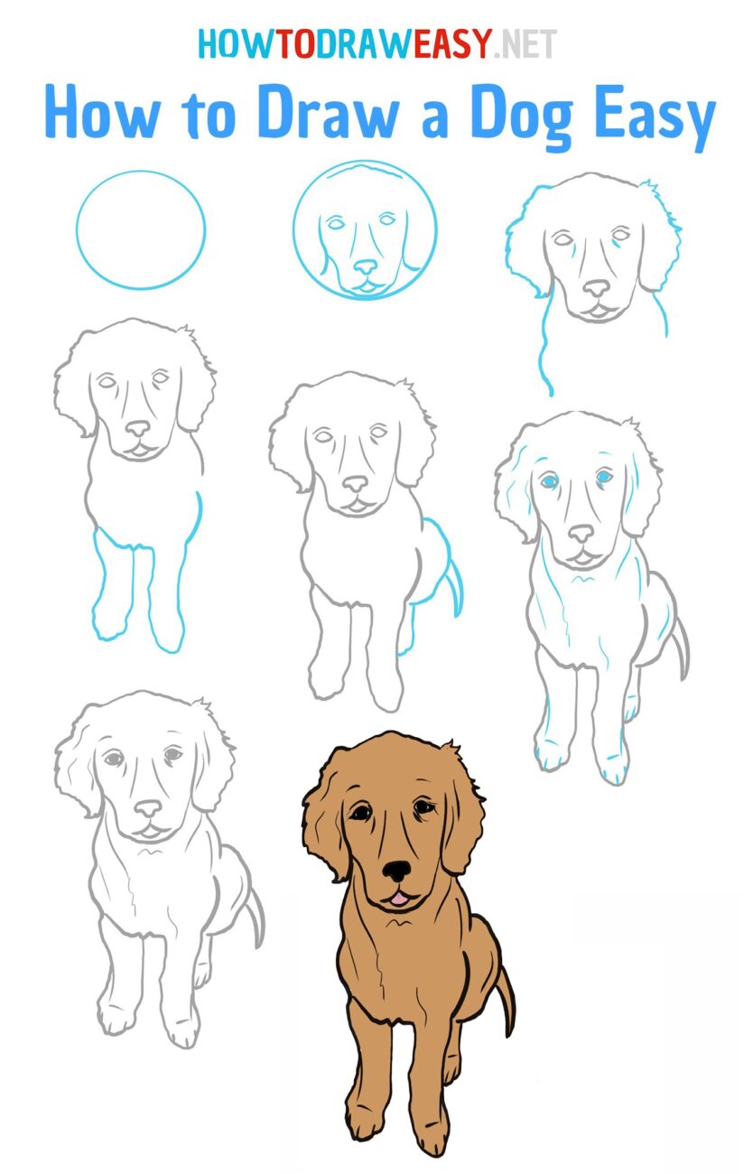 How To Draw A Dog Easy Drawing 834x1300 
