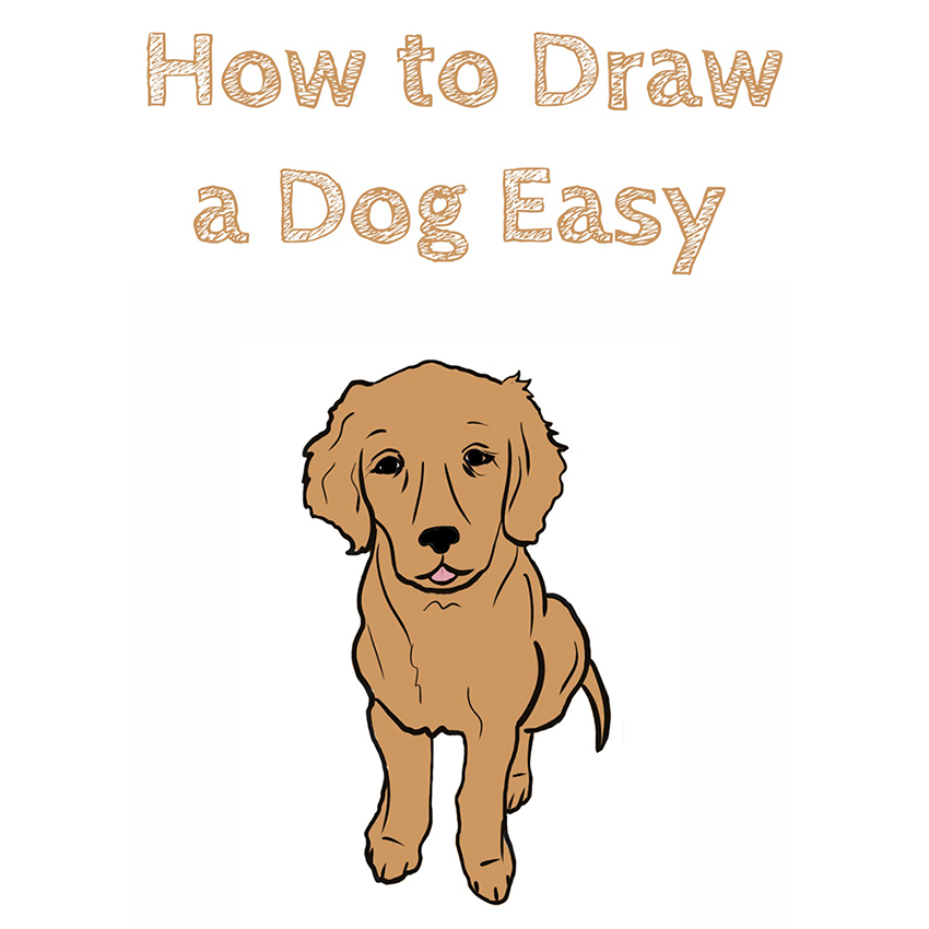 How to Draw a Dog Easy - How to Draw Easy