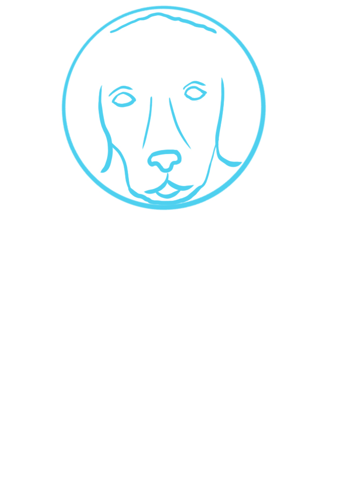 how to draw a dog face