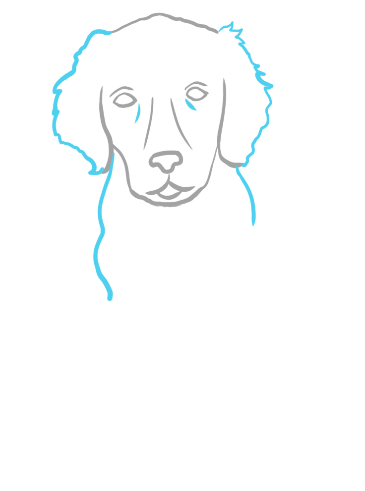 how to draw a dog realictic