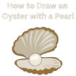 How to Draw an Oyster with a Pearl