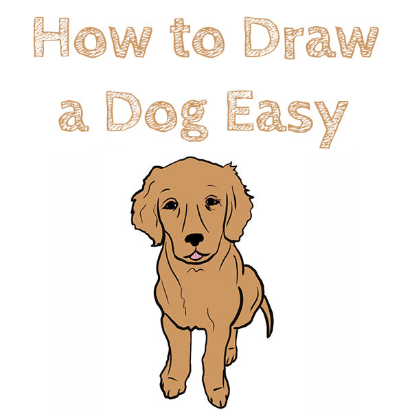 How to Draw a Dog Easy