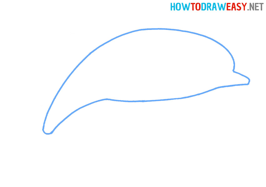 Draw a Dolphin