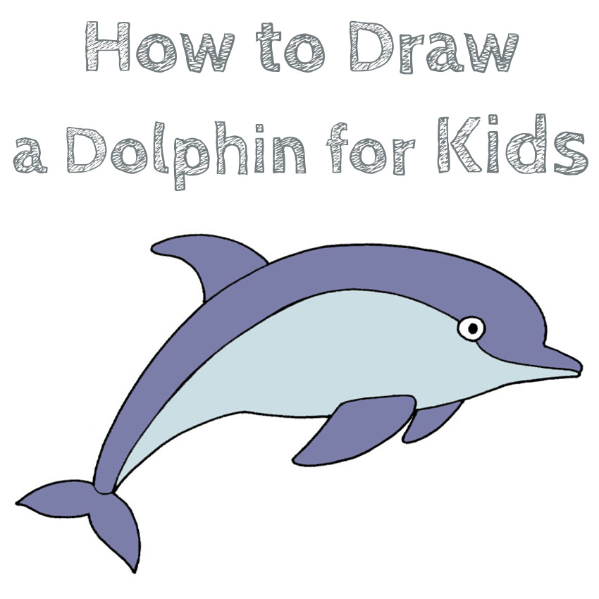 How to Draw a Dolphin Easy for Kids