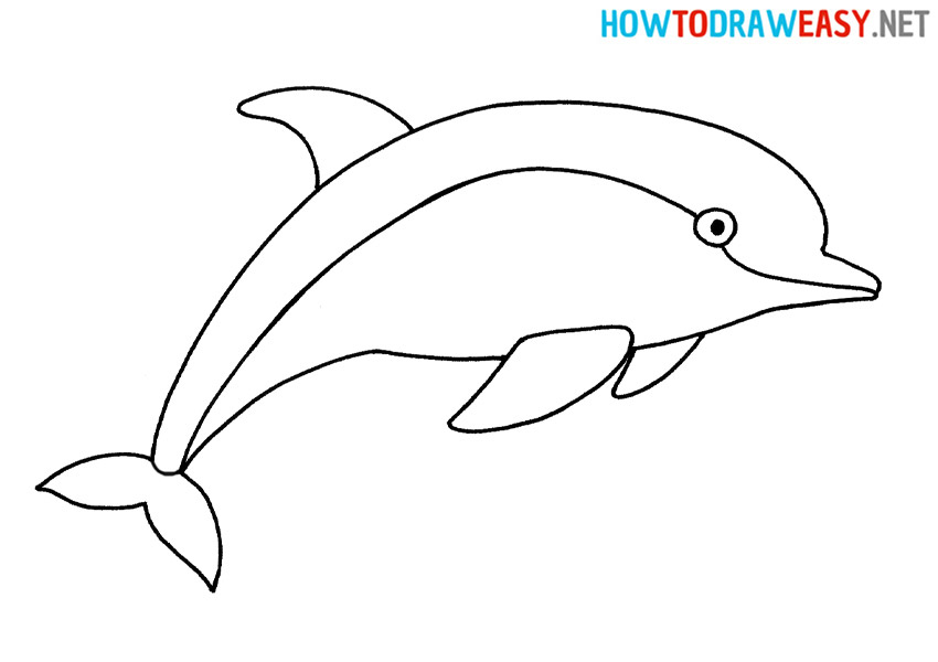 How to Draw a Dolphin for Beginners