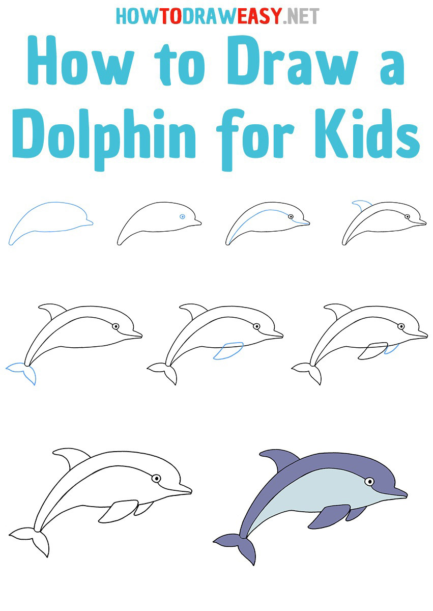 How to Draw a Dolphin for Kids Step by Step