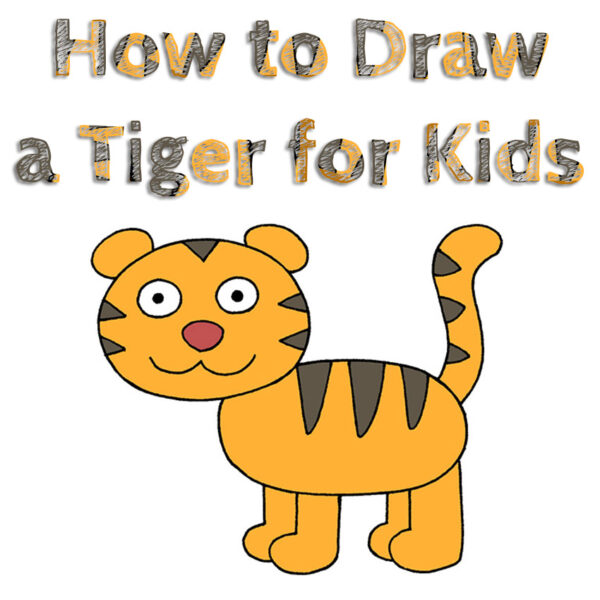 How to Draw a Tiger for Kids - How to Draw Easy