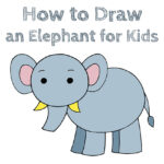 How to Draw an Elephant for Kids - How to Draw Easy