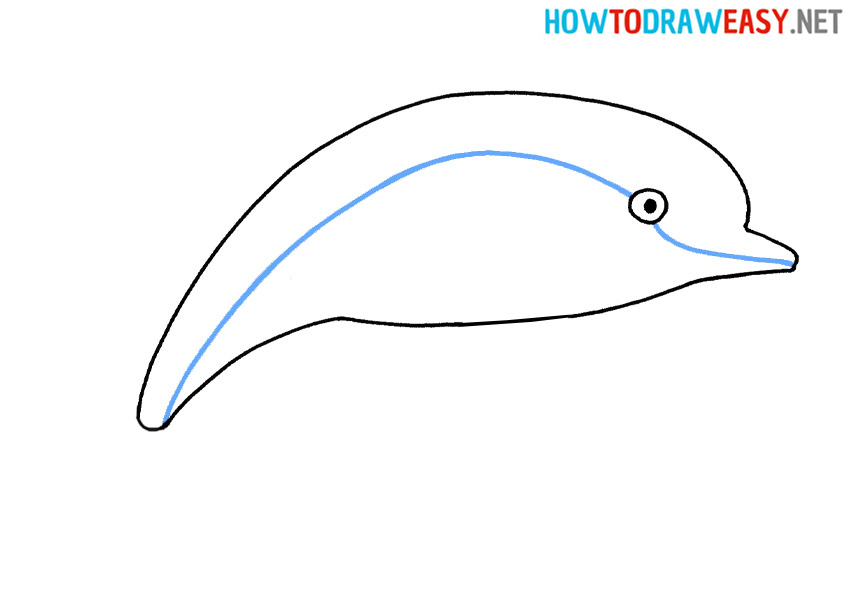 Learn How to Draw a Dolphin Easy for Kids