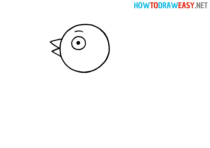 Learn how to draw a bird for kids