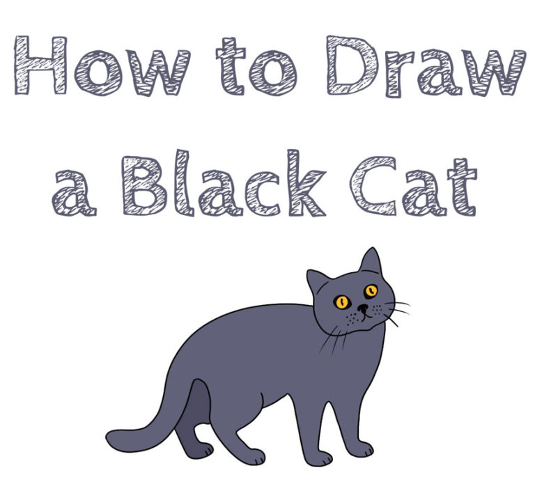 How to Draw a Black Cat How to Draw Easy