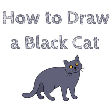Animals Archives - Page 5 of 6 - How to Draw Easy