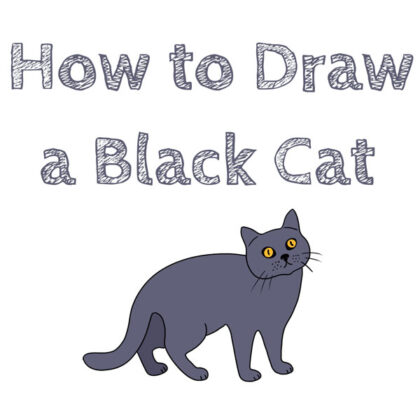 how-to-draw-a-black-cat-for-beginners