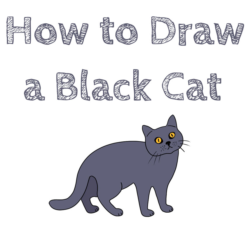 how-to-draw-a-black-cat