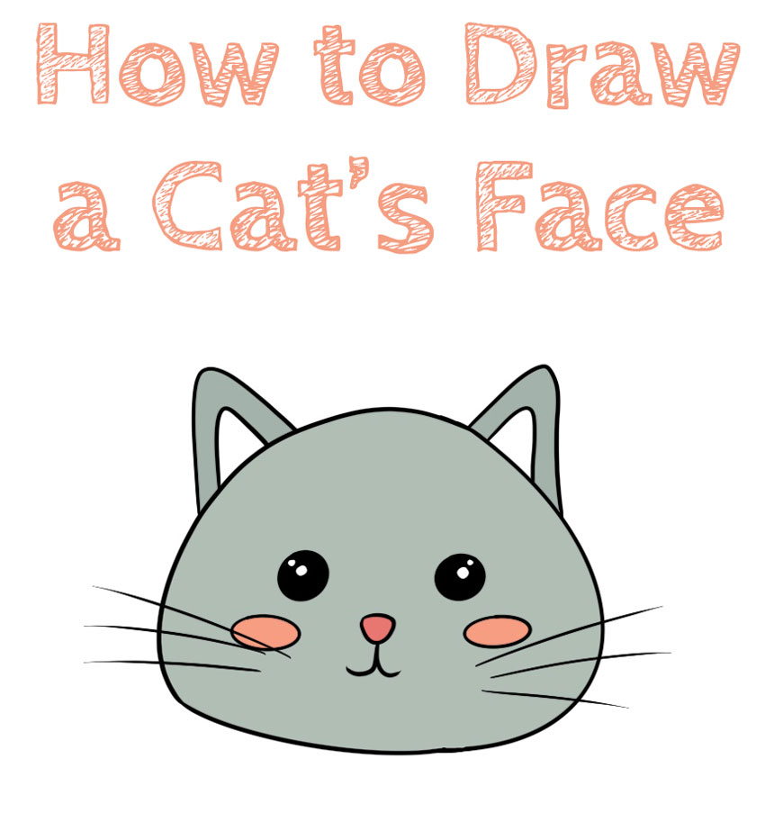 how-to-draw-a-cat-face