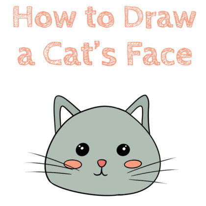 how-to-draw-a-cats-face-for-beginners
