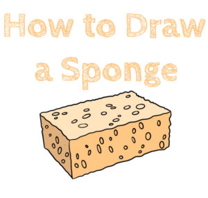 How to Draw a Sponge - How to Draw Easy