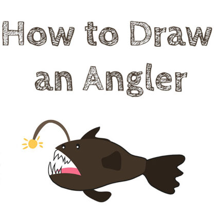 how-to-draw-an-anglerfish-for-beginners