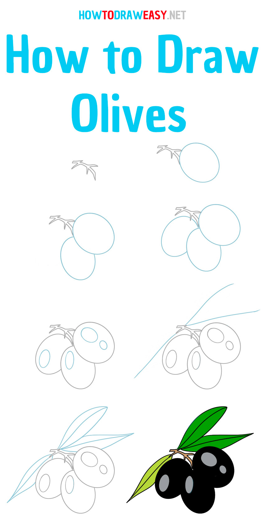 how to draw an olive step by step