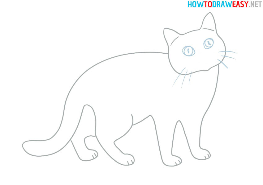 kitten-eyes-drawing-easy