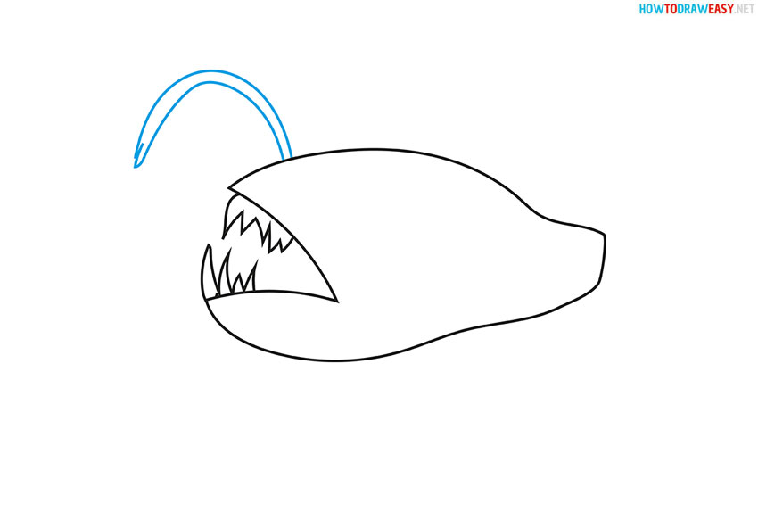 monkfish-draw