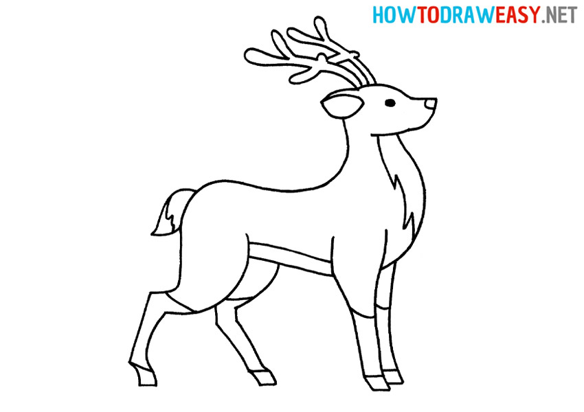 Drawing Deer