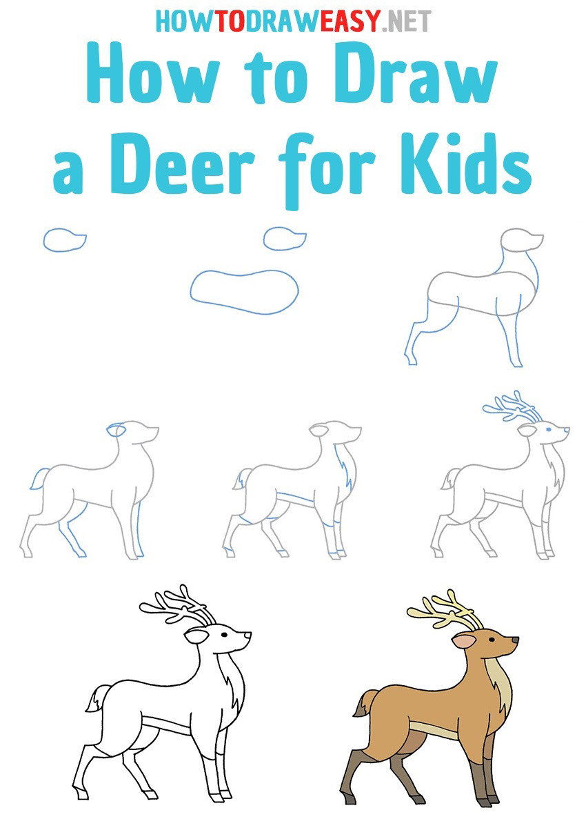How to Draw a deer step by step
