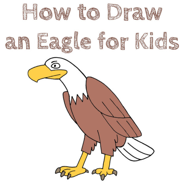 How to Draw an Eagle for Kids How to Draw Easy