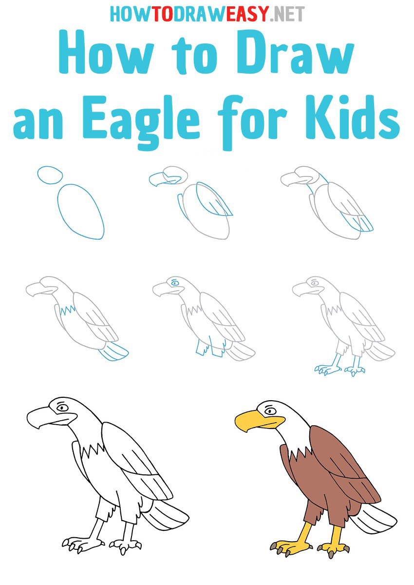 How to Draw an eagle step by step