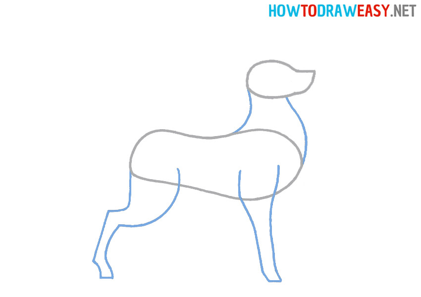 Learn how to draw a Deer for kids