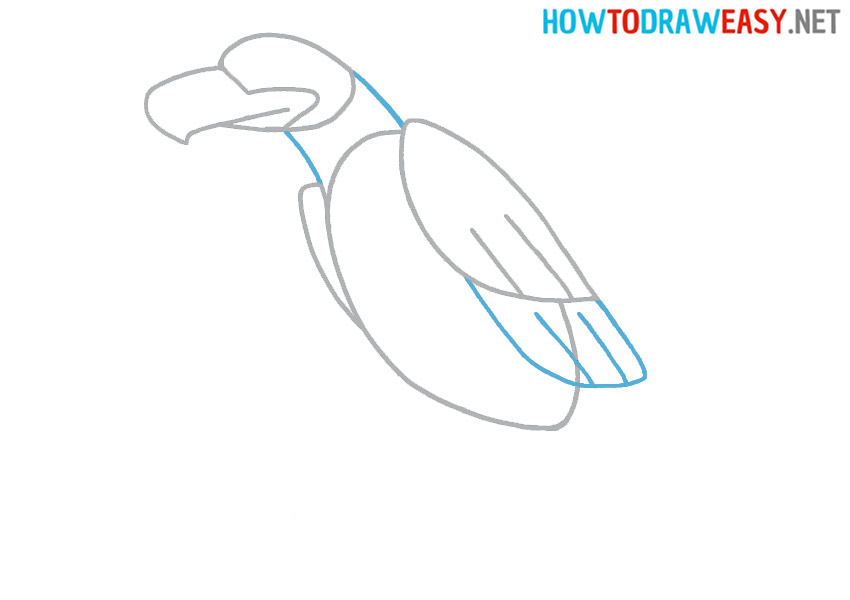 Learn how to draw an Eagle for kids