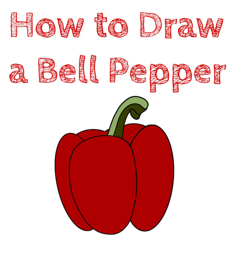 How to Draw a Bell Pepper How to Draw Easy